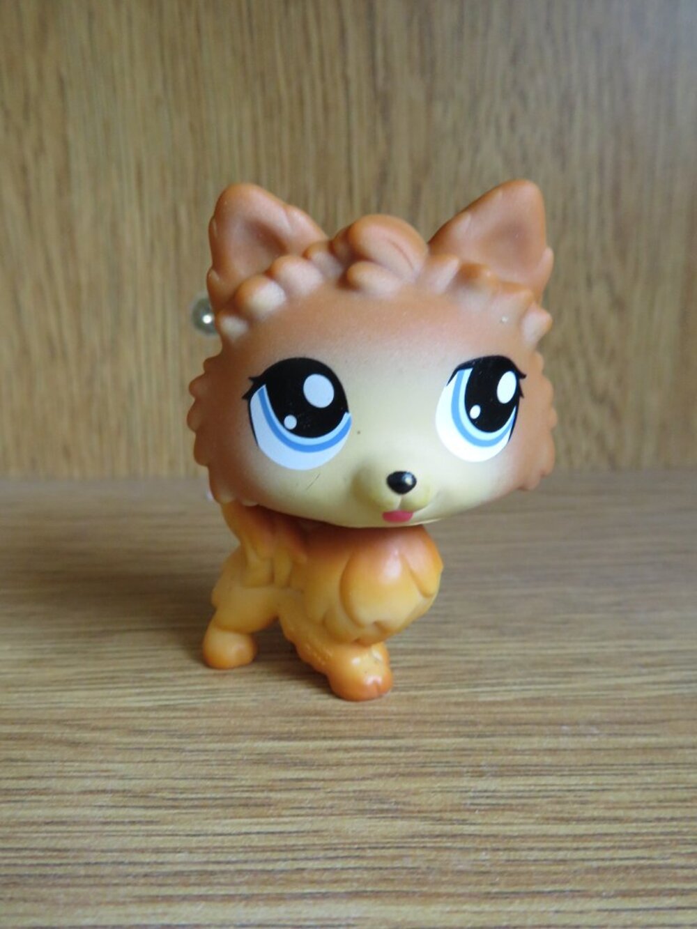 LPS Pomeranian Dog Special Edition #1317 2009 (K845)
